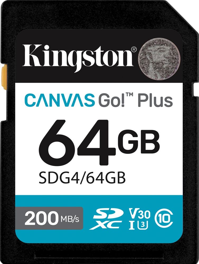 KINGSTON Kingston Canvas Go! Plus 64GB - Flashgeheugenkaart