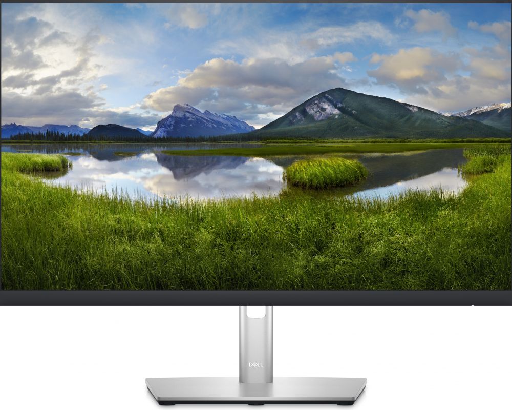 Dell P2423DE - LED-monitor